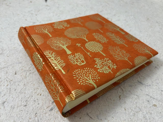 18 x 16 foresta arancio CV