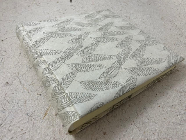 25 x 25 piume