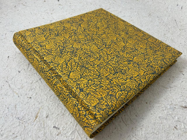 25 x 25 profili foglie