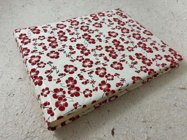30 x 24 30 pag anemoni