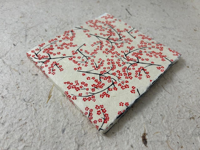unnamed (13)
