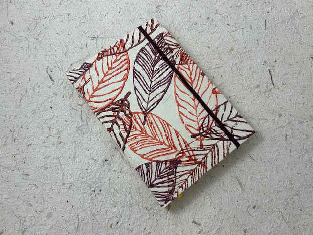 agenda giornaliera (30)